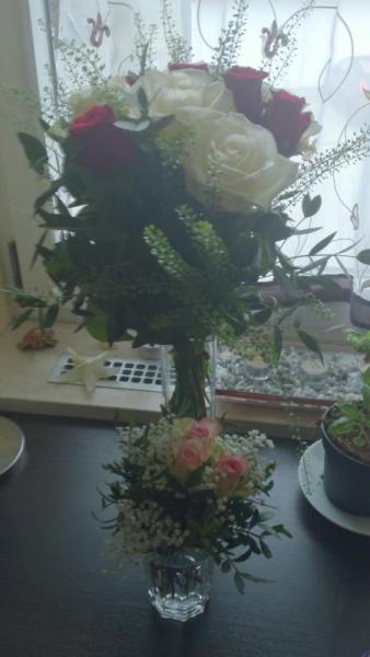 Bild zu 