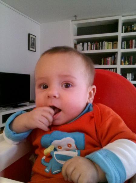 Bild zu
