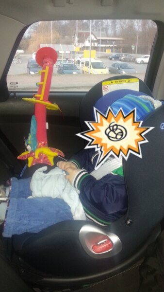 Bild zu