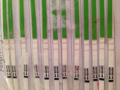 Bild zu Könnt ihr bitte rausschauen - Schwanger - wer noch? Rund um die Schwangerschaft