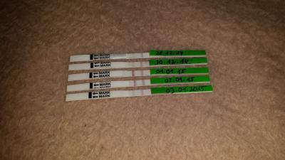 Bild zu Eisprung? - Schwanger - wer noch? Rund um die Schwangerschaft