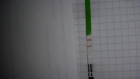 Bild zu positiver Test? - Schwanger - wer noch? Rund um die Schwangerschaft