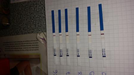 Bild zu welche ssw? ? - Schwanger - wer noch? Rund um die Schwangerschaft