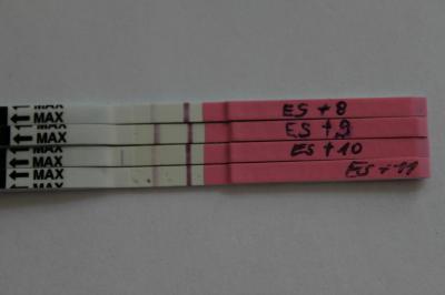 Bild zu Bitte mal gucken!! ES+11 Hoffnung aufgeben??? - Schwanger - wer noch? Rund um die Schwangerschaft