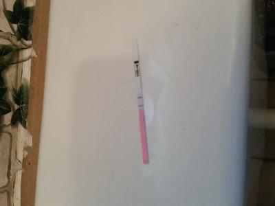 Bild zu Eisprung Zyklus Tag 13 ? - Schwanger - wer noch? Rund um die Schwangerschaft