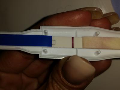 Bild zu Ist der Test positiv? - Schwanger - wer noch? Rund um die Schwangerschaft