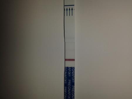 Bild zu test positiv? - Schwanger - wer noch? Rund um die Schwangerschaft