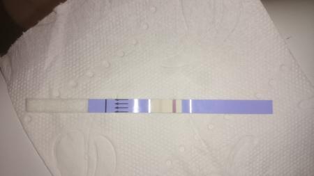 Bild zu Hilfeeee!!!! - Schwanger - wer noch? Rund um die Schwangerschaft