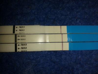 Bild zu Hab meine Betrag vom Experten Forum mal zu Euch kopiert - Schwanger - wer noch? Rund um die Schwangerschaft