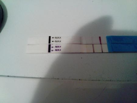 Bild zu Ich brauch mal eure Augen - Schwanger - wer noch? Rund um die Schwangerschaft