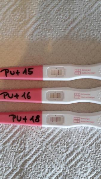 Bild zu Muss ich mir Sorgen machen? :-( - Schwanger - wer noch? Rund um die Schwangerschaft