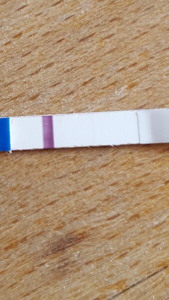 Bild zu Schwangerschaftstest positiv? - Schwanger - wer noch? Rund um die Schwangerschaft