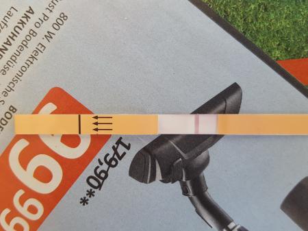 Bild zu Ss test pos. oder neg. - Schwanger - wer noch? Rund um die Schwangerschaft