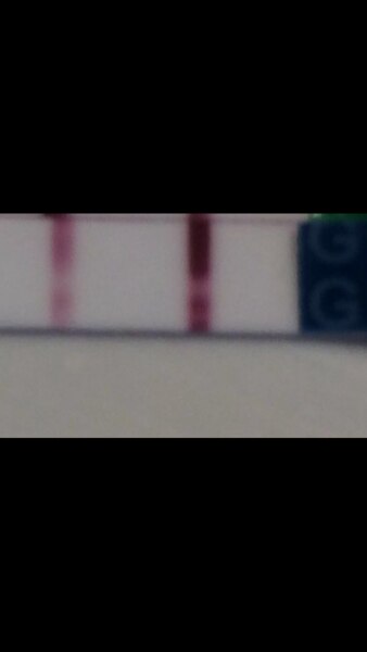 Bild zu Bitte nicht steinigen, wer nicht helfen kann überlesen - Schwanger - wer noch? Rund um die Schwangerschaft