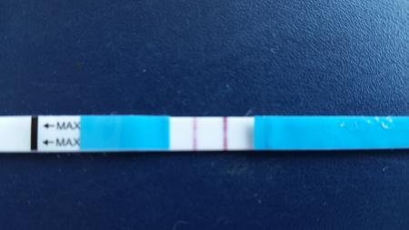 Bild zu Wirklich schwanger???? - Schwanger - wer noch? Rund um die Schwangerschaft