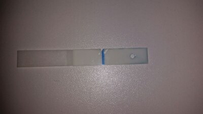 Bild zu Ticket für den Juli-Bus? (Foto SS-Test) - Schwanger - wer noch? Rund um die Schwangerschaft