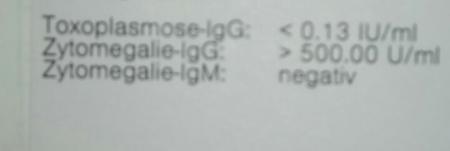 Bild zu Toxoplasmose immun oder nicht? - Schwanger - wer noch? Rund um die Schwangerschaft