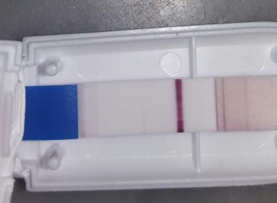 Bild zu Zählt der als Positiv - Schwanger - wer noch? Rund um die Schwangerschaft