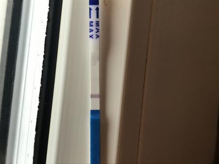 Bild zu Schwanger? - Schwanger - wer noch? Rund um die Schwangerschaft