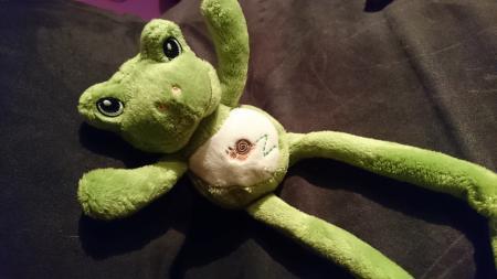 Bild zu Ich kann es nicht glauben!!!! - Schwanger - wer noch? Rund um die Schwangerschaft