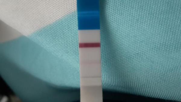 Bild zu Oh mein Gott - Schwanger - wer noch? Rund um die Schwangerschaft