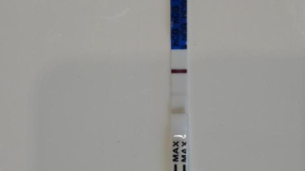 Bild zu Schwanger.... - Schwanger - wer noch? Rund um die Schwangerschaft