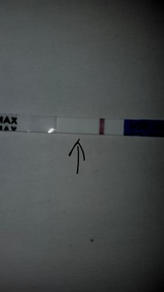 Bild zu Schwanger? - Schwanger - wer noch? Rund um die Schwangerschaft