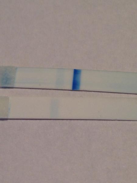 Bild zu Darf ich das als schwanger werten??😅 - Schwanger - wer noch? Rund um die Schwangerschaft