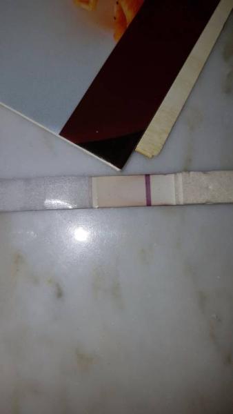 Bild zu Test positiv oder negativ ? - Schwanger - wer noch? Rund um die Schwangerschaft