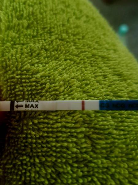 Bild zu Ein vorsichtiges Hallo - Schwanger - wer noch? Rund um die Schwangerschaft