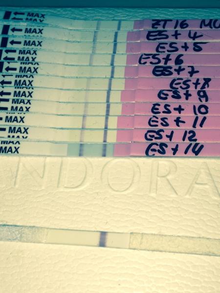 Bild zu NMT - Schwanger - wer noch? Rund um die Schwangerschaft