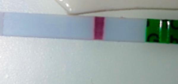 Bild zu Einbildung ? Oder sehe ich was - Schwanger - wer noch? Rund um die Schwangerschaft