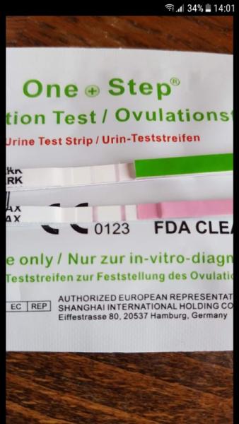 Bild zu Es oder doch HCG? - Schwanger - wer noch? Rund um die Schwangerschaft