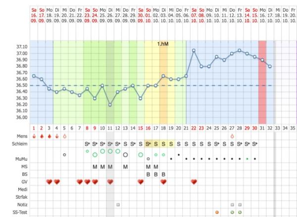 Bild zu Temperaturabfall 5 SSW - Schwanger - wer noch? Rund um die Schwangerschaft