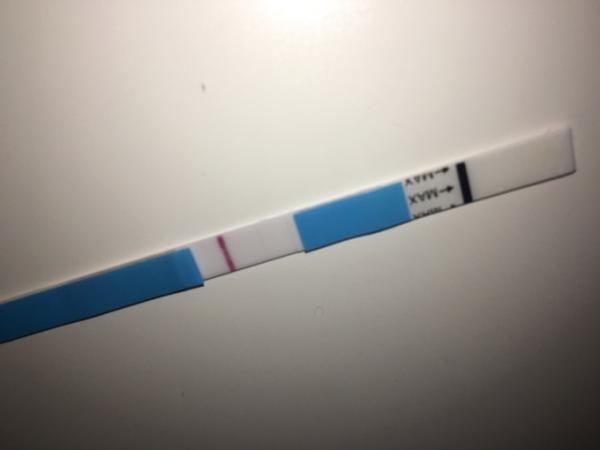 Bild zu Schwanger? - Schwanger - wer noch? Rund um die Schwangerschaft