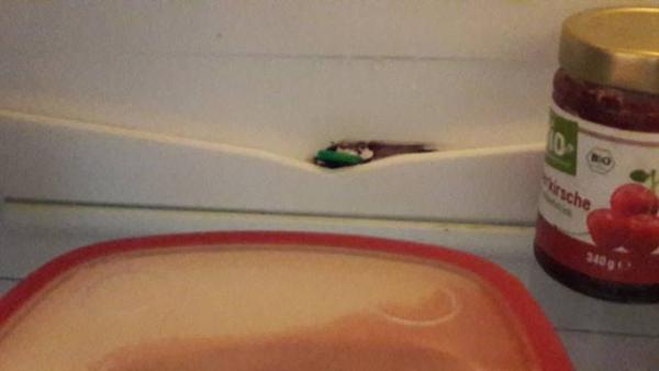 Bild zu Ernährung in der 14.ssw - Schwanger - wer noch? Rund um die Schwangerschaft