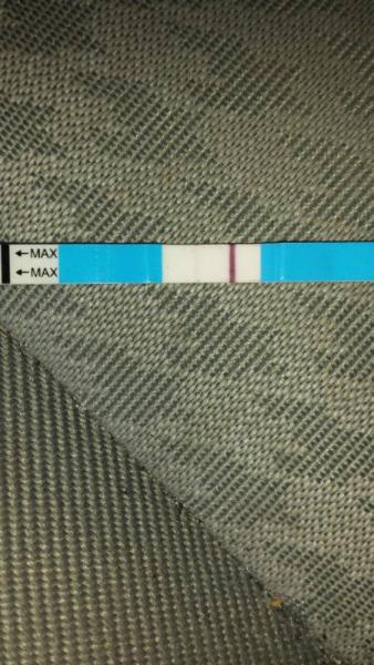 Bild zu Es+?? - Schwanger - wer noch? Rund um die Schwangerschaft