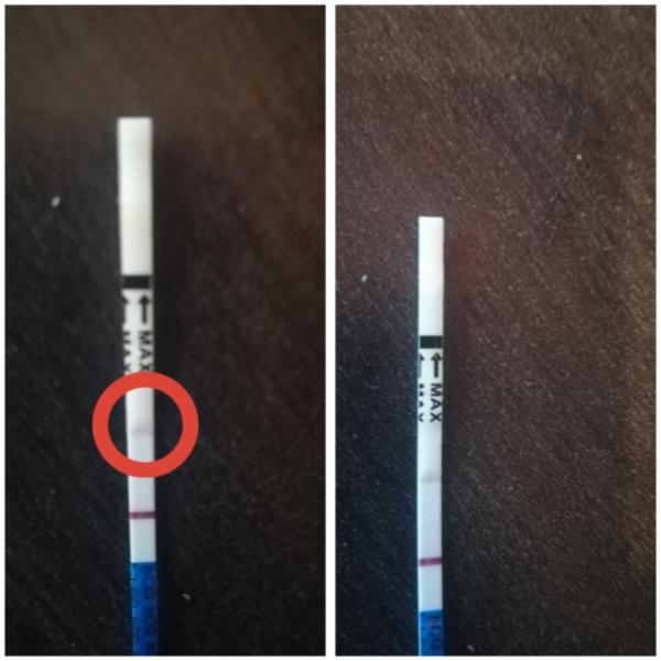 Bild zu Schwanger ja oder nein? - Schwanger - wer noch? Rund um die Schwangerschaft