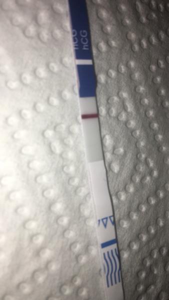 Bild zu Ich komme vermutlich doch zu euch - Schwanger - wer noch? Rund um die Schwangerschaft