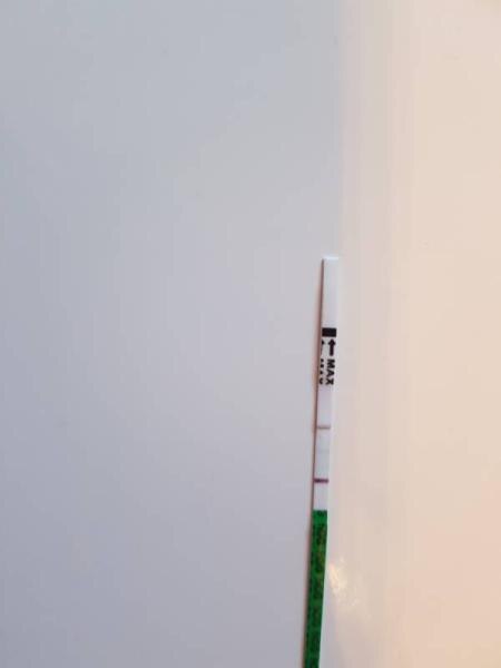 Bild zu Positiv oder negativ - Schwanger - wer noch? Rund um die Schwangerschaft