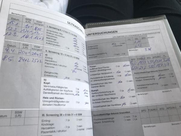 Bild zu Mutterpass und Schwangerschaftswoche - Schwanger - wer noch? Rund um die Schwangerschaft