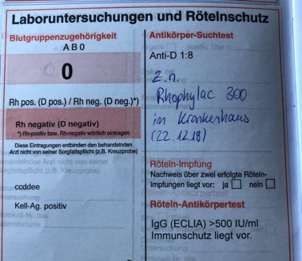 Bild zu 