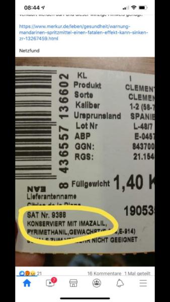 Bild zu Giftstoffe in Mandarinen - Schwanger - wer noch? Rund um die Schwangerschaft