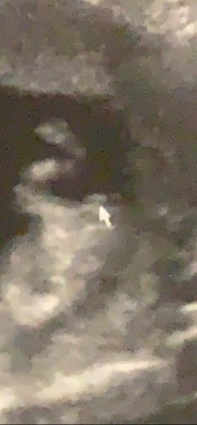 Bild zu Baby Geschlecht - Schwanger - wer noch? Rund um die Schwangerschaft