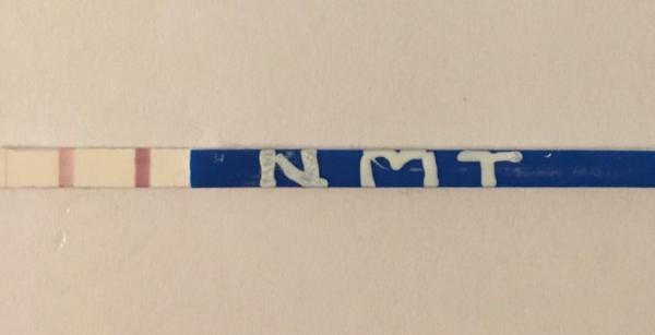 Bild zu NMT - One Step 10er - Schwanger - wer noch? Rund um die Schwangerschaft