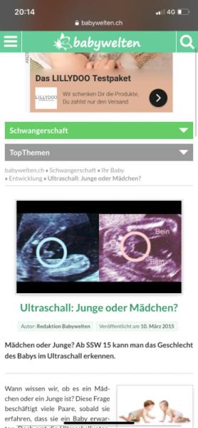 Bild zu 