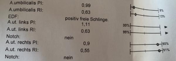 Bild zu Dopplerwerte 23+5 SSW - Schwanger - wer noch? Rund um die Schwangerschaft