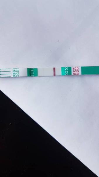 Bild zu Seh Test es+11 - Schwanger - wer noch? Rund um die Schwangerschaft