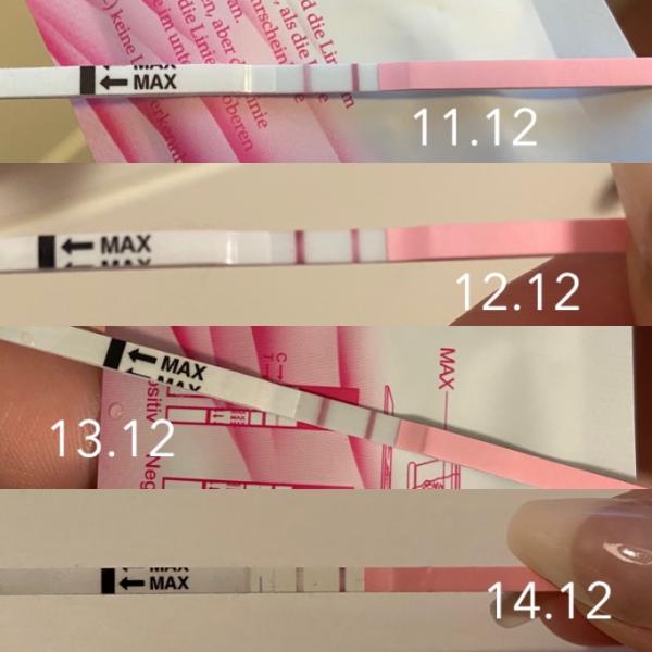 Bild zu Ovulationstest - Schwanger - wer noch? Rund um die Schwangerschaft