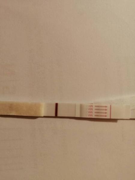 Bild zu Ist dieser Test positiv? - Schwanger - wer noch? Rund um die Schwangerschaft